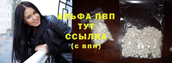 СК Балахна
