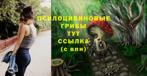 СК Балахна