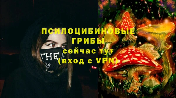 СК Балахна