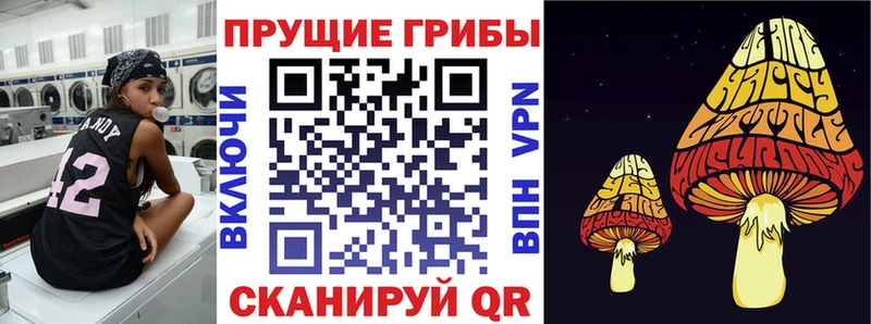 где можно купить наркотик Могоча Галлюциногенные грибы GOLDEN TEACHER